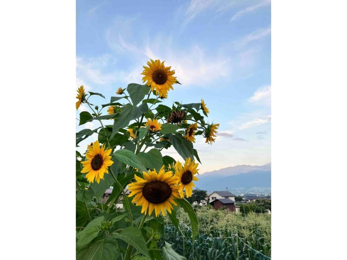 Longhillsecoguesthouse&Cafe - Vacation Stay 24885V Ome Экстерьер фото